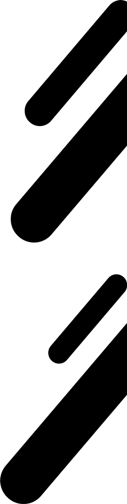 Shape